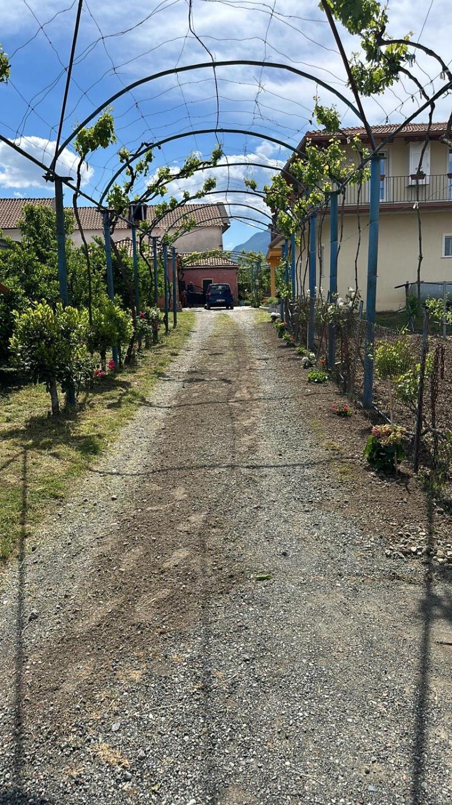 Guesthouse Marku - Mrizi I Zanave Fishte Buitenkant foto