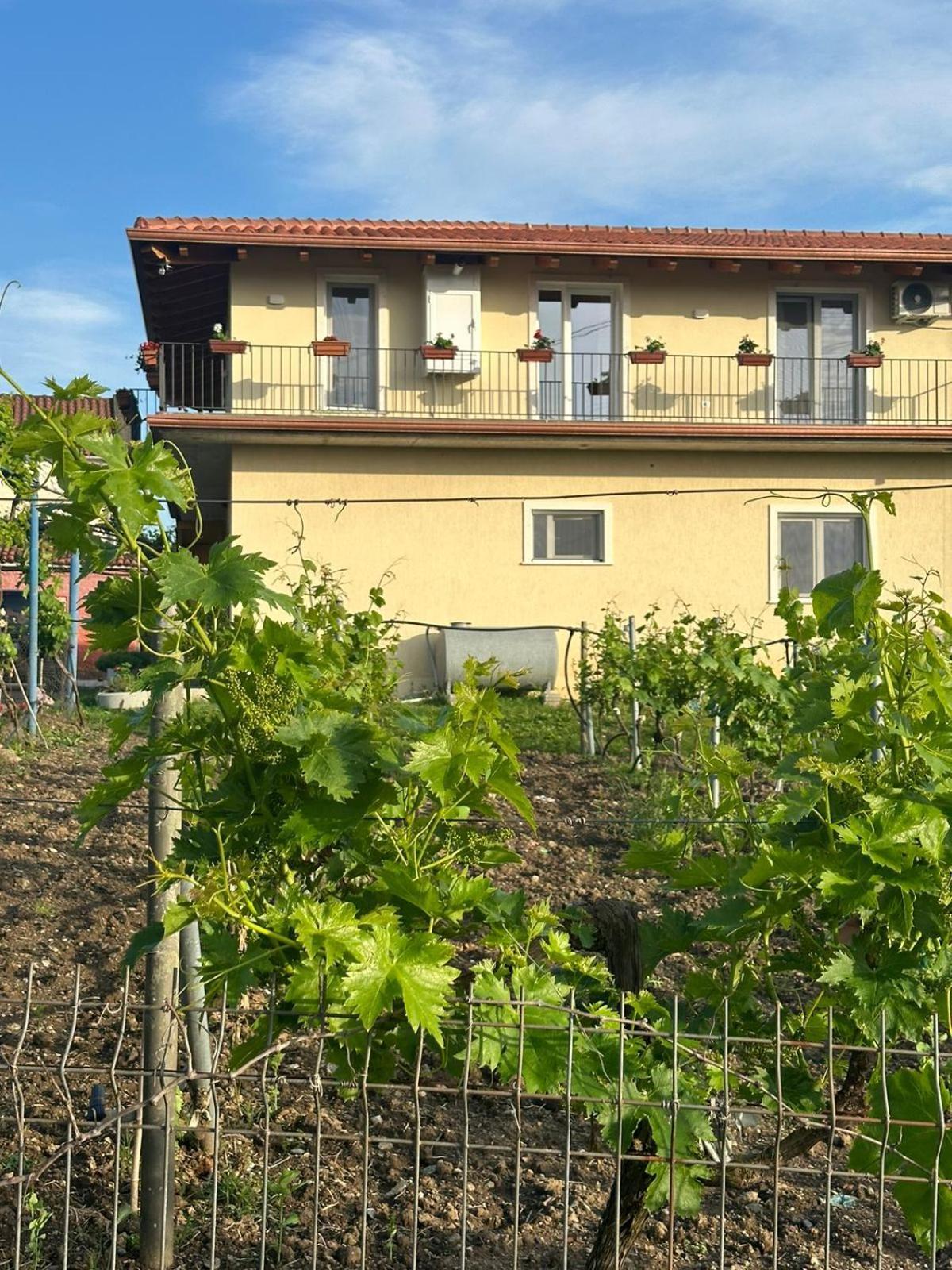 Guesthouse Marku - Mrizi I Zanave Fishte Buitenkant foto